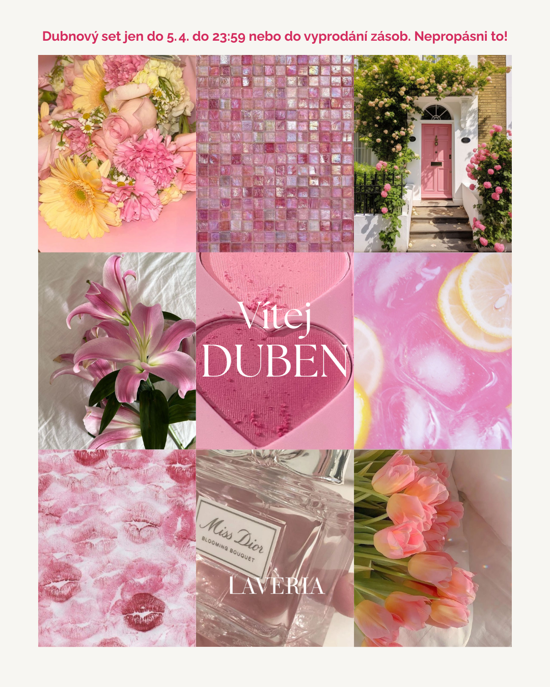 Měsíční předplatné